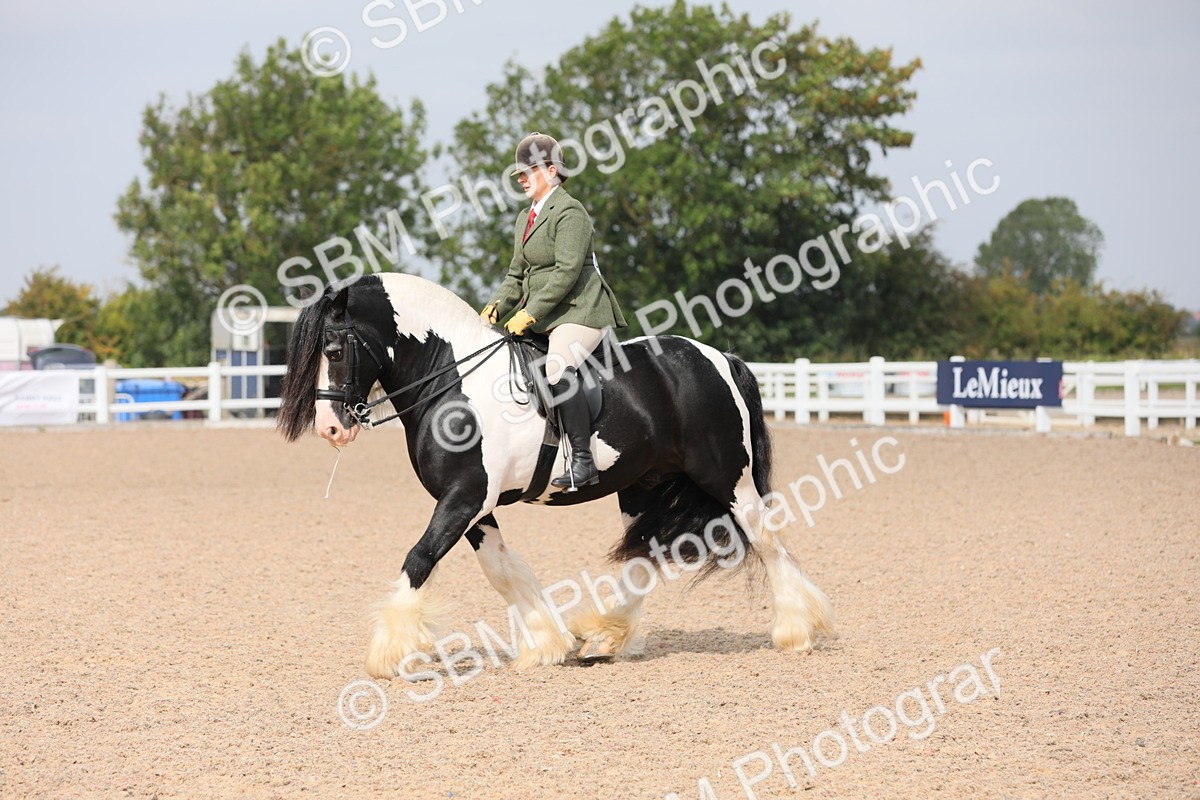 SBM_12813 - Class 307 Ridden Coloured Pony
