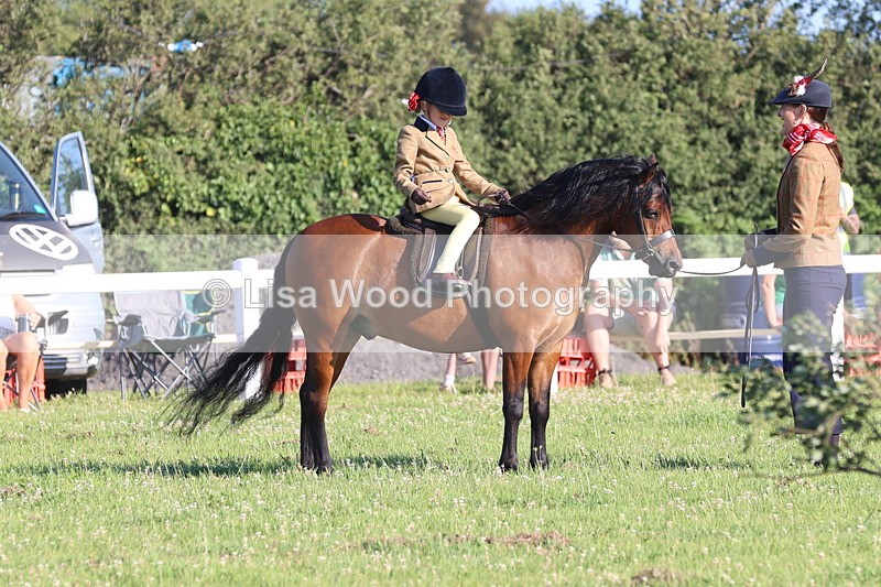 JPP_0748 - Class 16: Cornish Combination Leading Rein