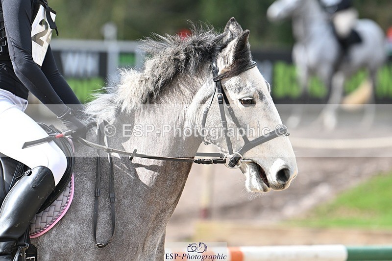 240302-103635-00470 - Cls 1 70-75cm 9.55 to End