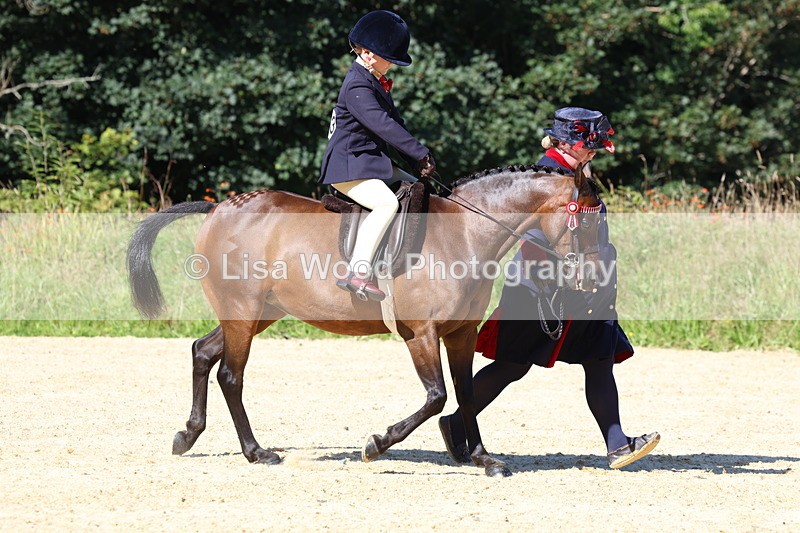 3E7A8046 - Class 15: Lead Rein