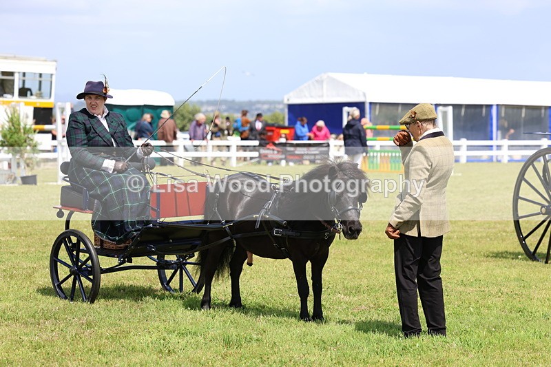 3E7A2739 - Class 12: Open Driving