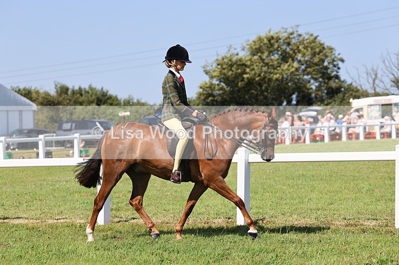 IMG_1989 - Class 34: Show Hunter Pony 153cm and under