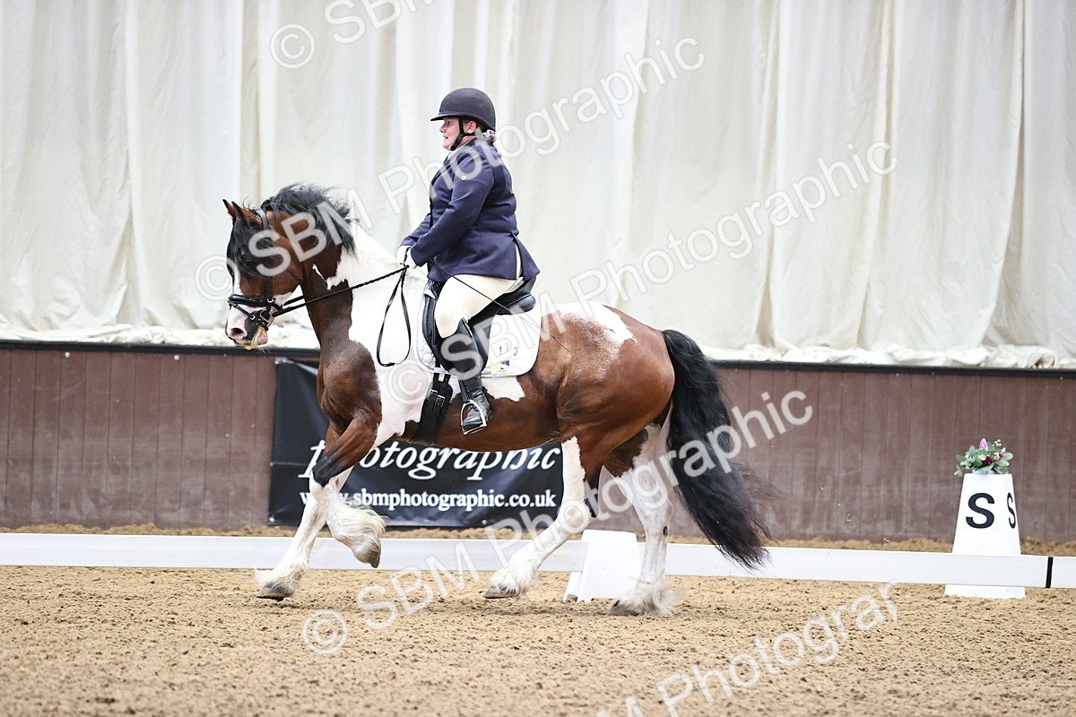 SBM_000481 - Novice 4 Warm Up