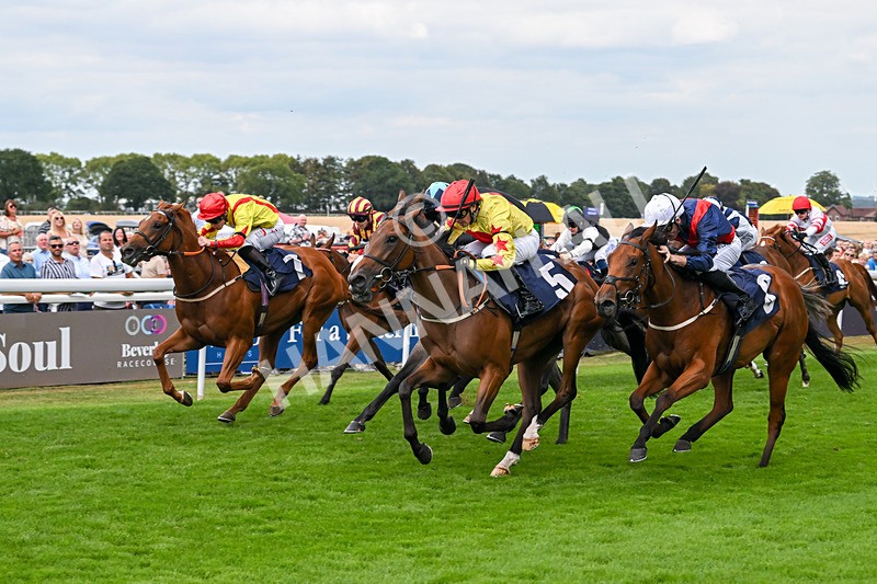 140825-Race 3-Rum Therapy-1049 - Race 3