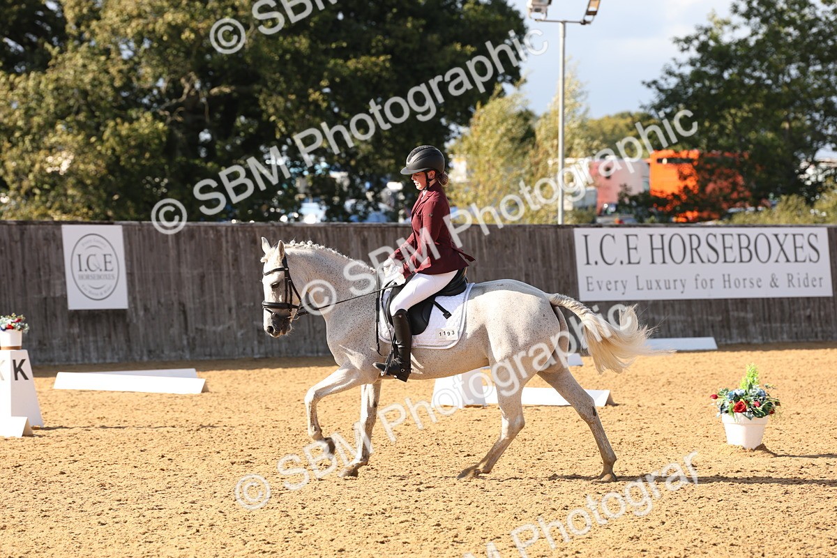 SBM_50470 - D12 - Small Tour Championship prelim 2