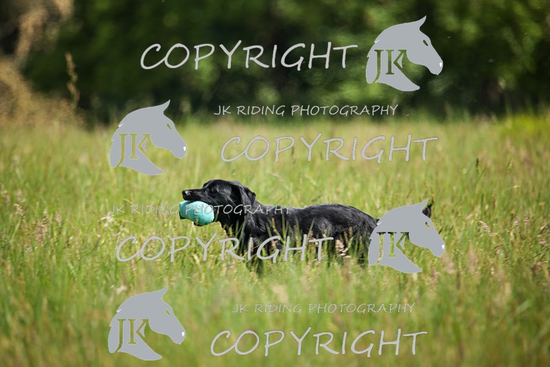 2R6A8088 - 18 Abbie
