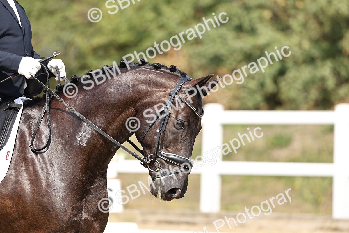 SBM_018609 - Class 16 - Novice 5 - 12.08-13.11