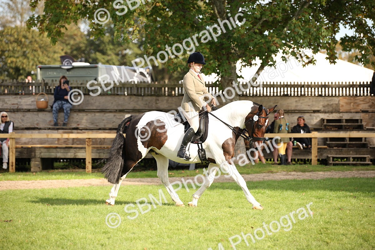 SBM_50181 - S26 - Young Veteran - Ridden