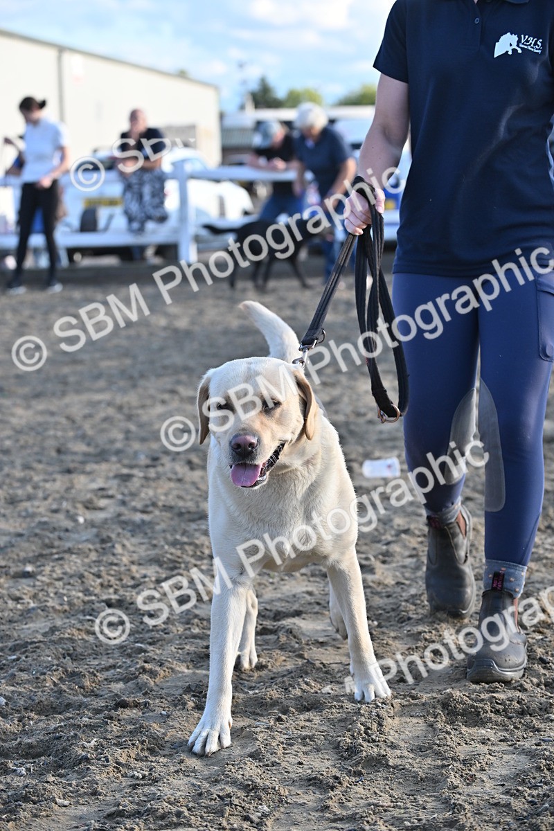 SBM_09428 - Lorry Dogs