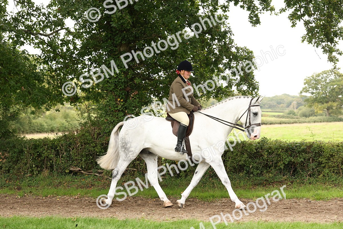 SBM_66292 - S66 - Hunter Ridden