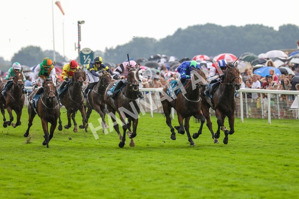 100923-Race 6-Anjo Bonita-3987 - Race 6 4.25pm Hanson Springs 60th Anniversary Handicap at York