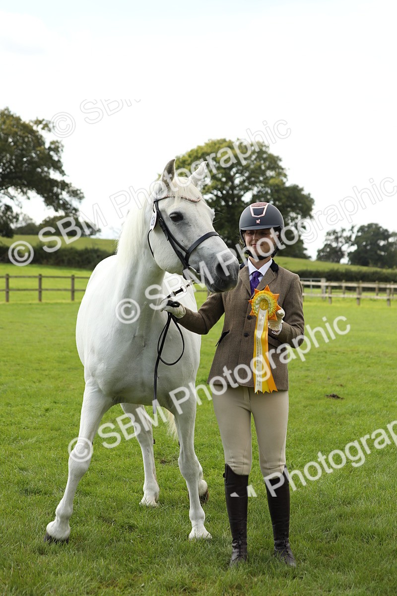 SBM_65553 - S47 - Mountain & Moorland In Hand Large Breeds