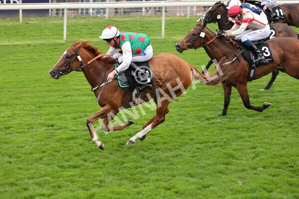 yr18082021r6-18 - Race 6 4.45pm IRE-Incentive It Pays To Buy Irish Stakes