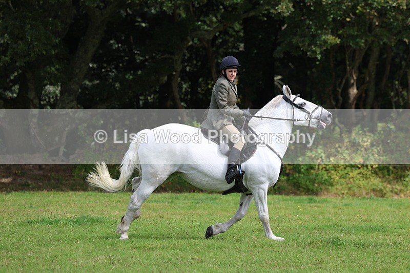 3E7A5867 - Class 26 and 27: 70cm Working Hunter