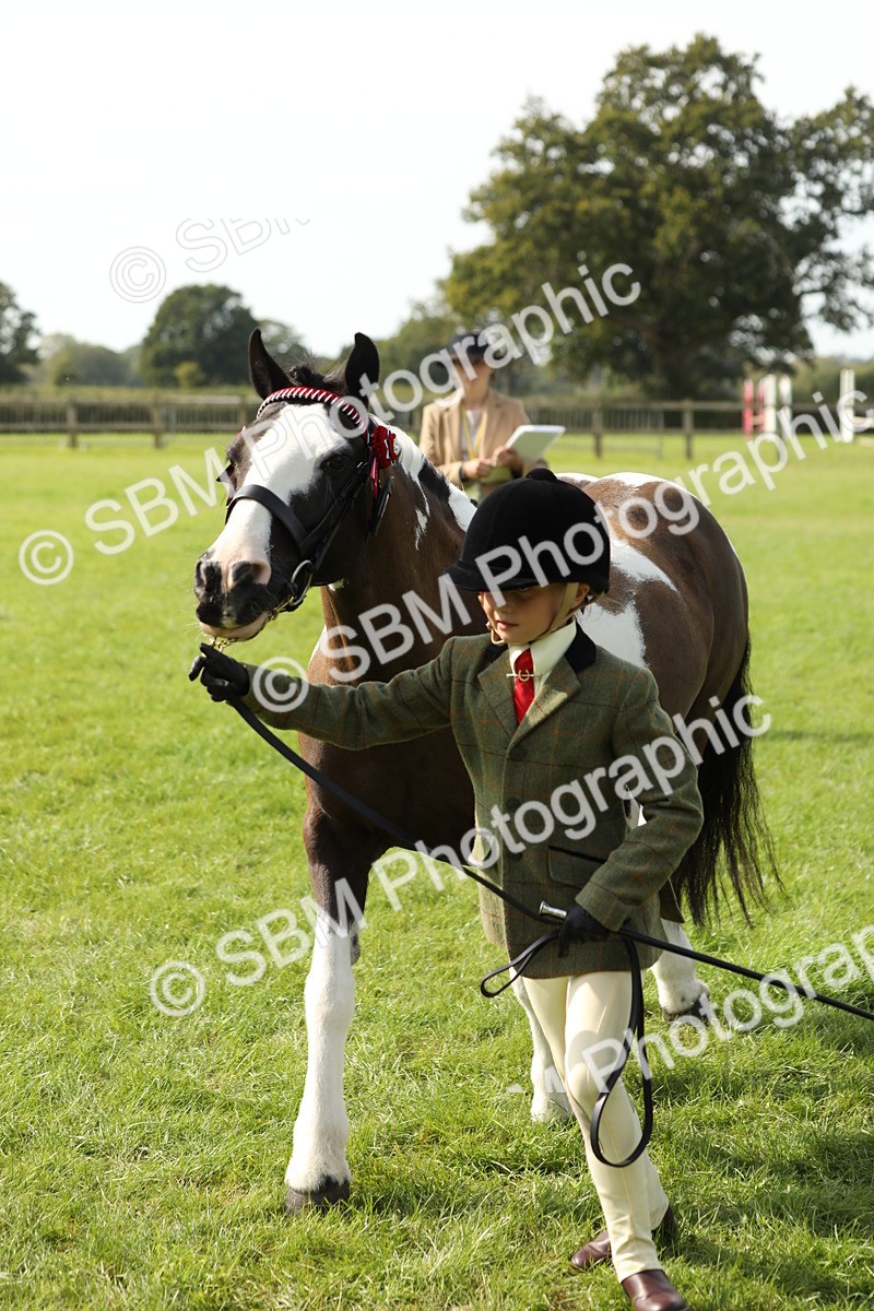 SBM_67795 - S39 - Junior Handler 8  Years & Under