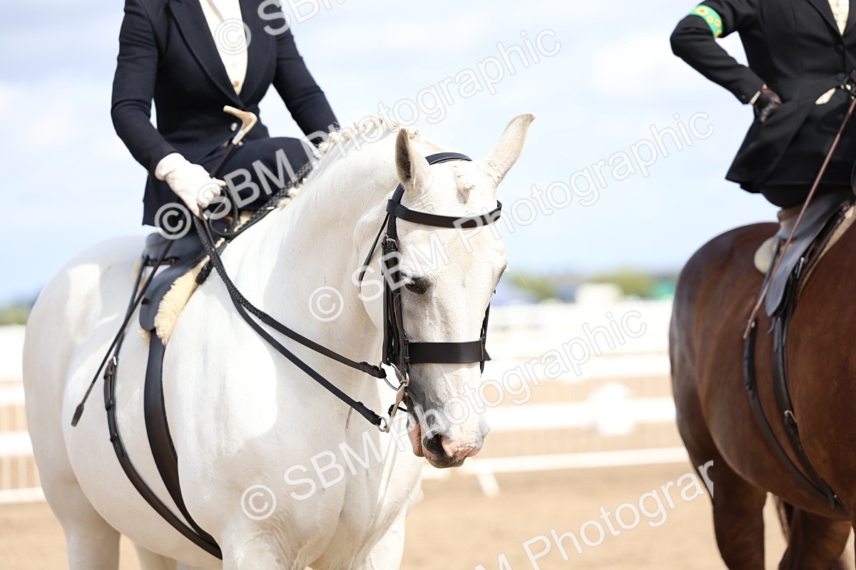 SBM_03261 - Class 22 - SSA Equitation (any age)