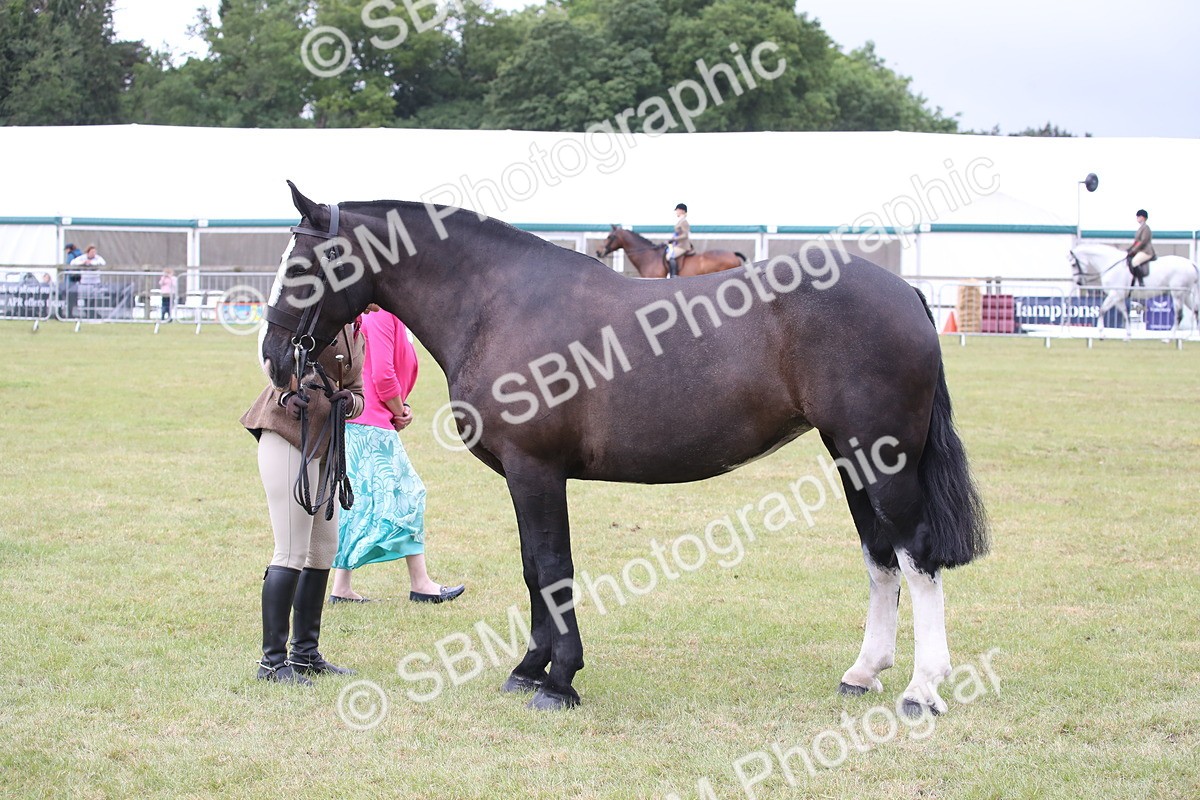 SBM_11260 - Class 92-93 - LIHS BSHA Rising Star Cobs