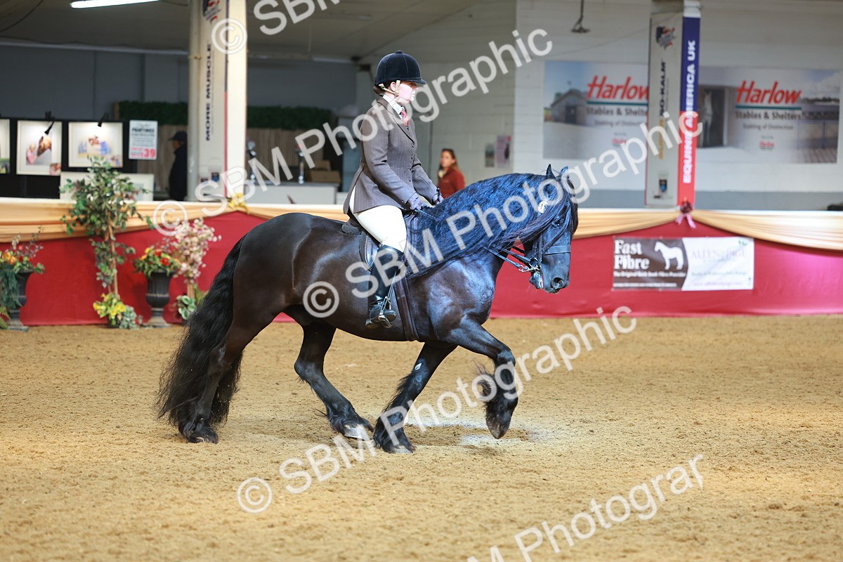SBM_10635 - Class 103 - HOYS Veteran Qualifier - Ridden Pre Vet