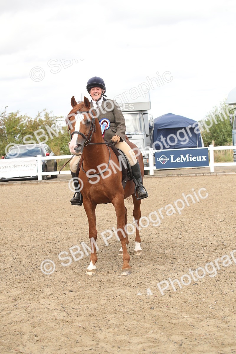 SBM_16560 - Class 506b - Working Veteran - 50cm (20+)