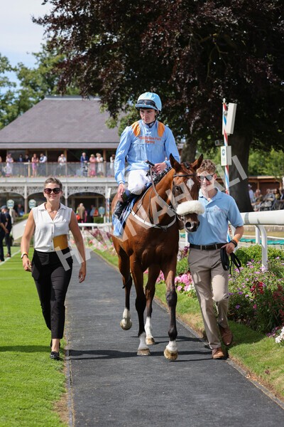 yr08072022r3-30 - Race 3 3.15pm William Hill Play Responsibly Irish EBF Novice Fillies Stakes