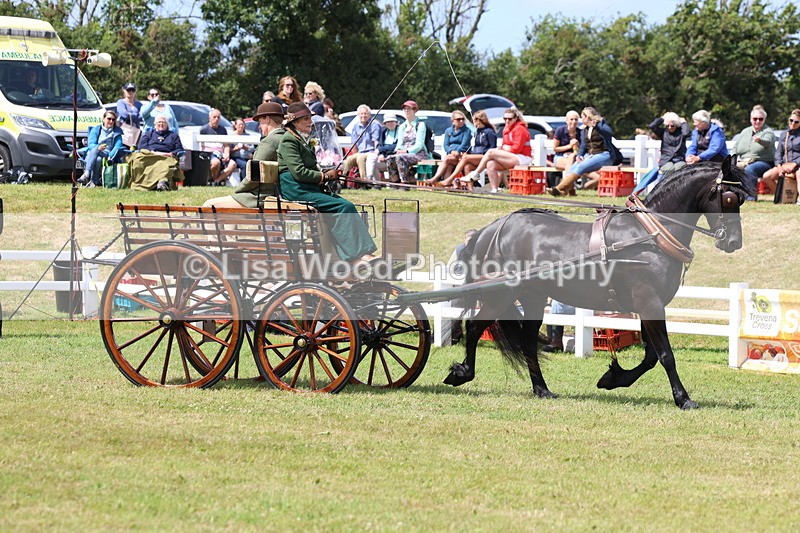 3E7A2684 - Class 12: Open Driving