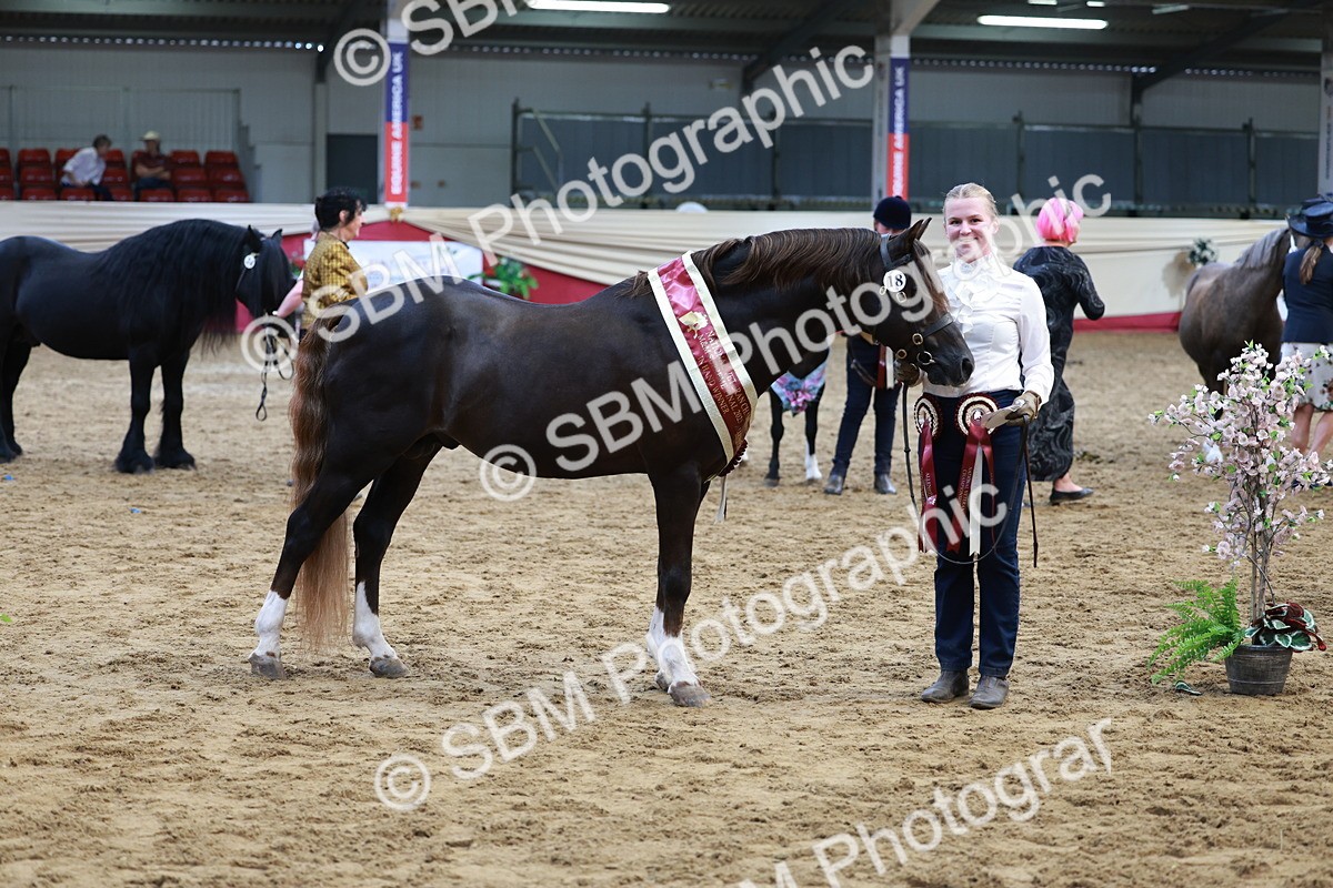 SBM_17614 - Class 951 - M&M IH Supreme Final