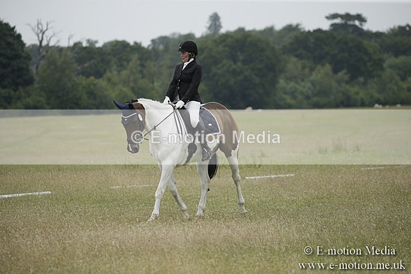 B230619-0653 - Bourne Valley Riding Club Summer Show 23/06/19