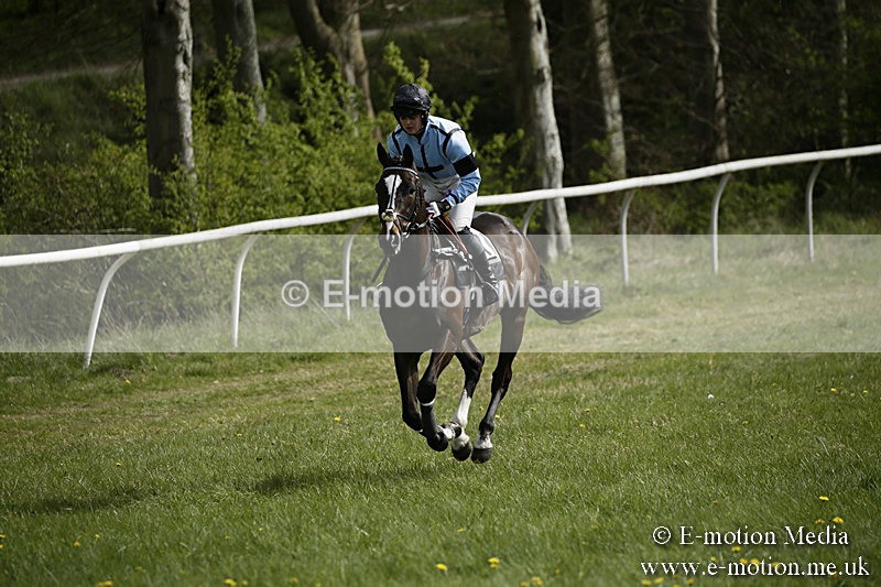 PtP 170417 233 - Old Berks Point-to-Point Lockinge 17/04/17