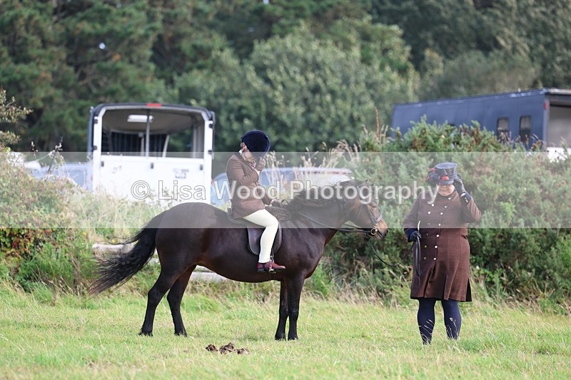 3E7A3423 - Class 2: Lead rein