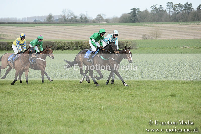 PtP 230319 175 - VWH Hunt Siddington Point-to-Point Racing 23/03/19