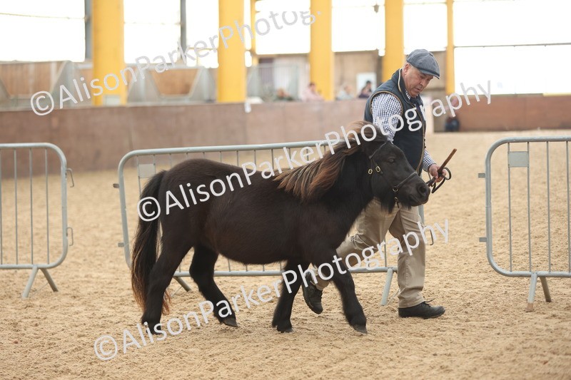 20251109-0120 - Championship