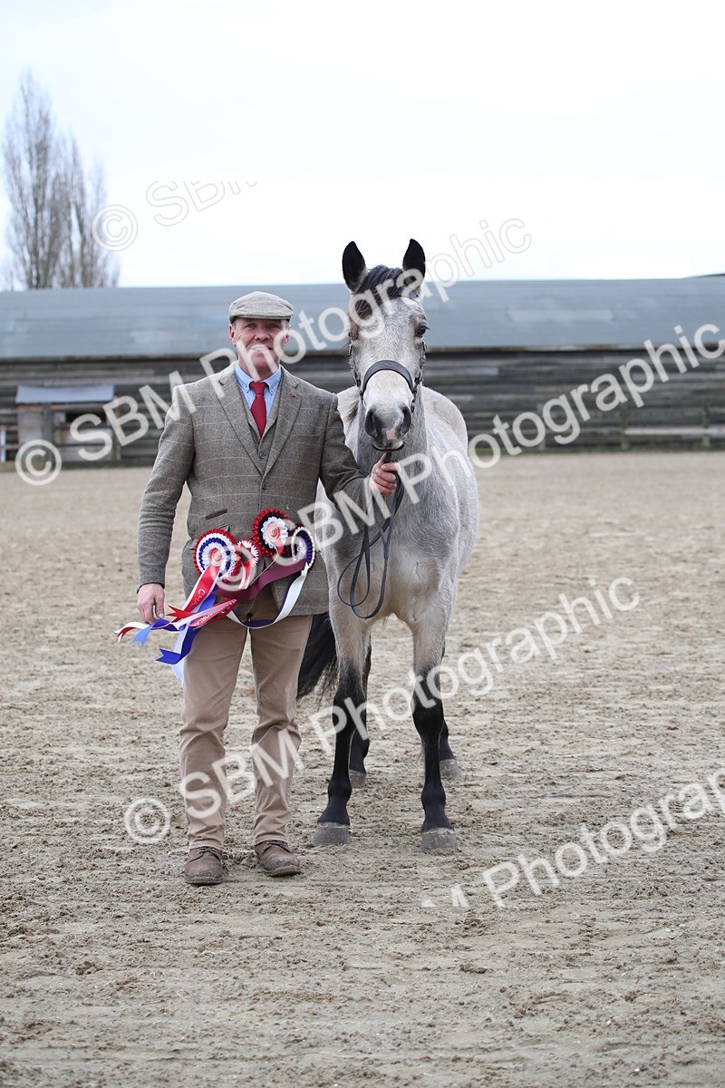 SBM_004117 - Class 1-4 - Young Stock classes Inc. In Hand Championship