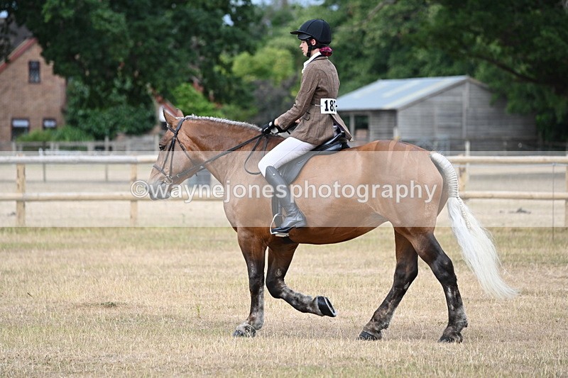 WJ6_7363 - Class 9 Tack and Turnout