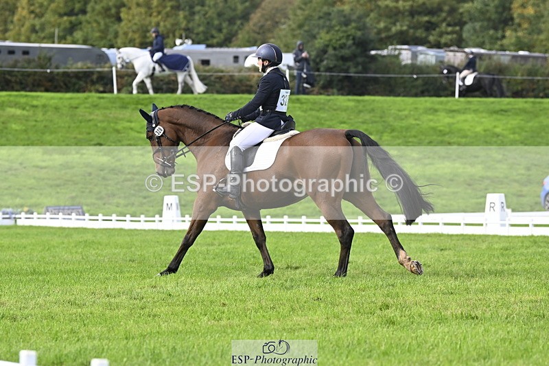 251023A-140850-04261 - D-328-Julia.Knight-Jones