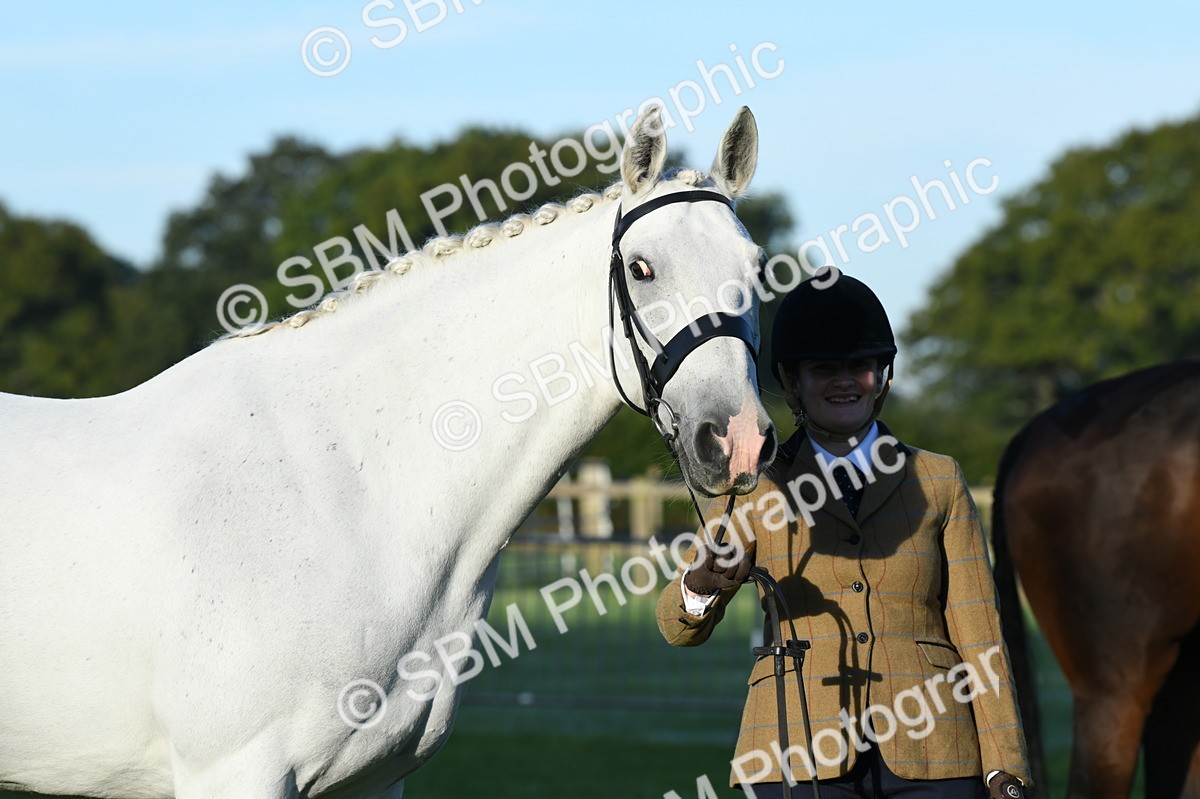 SBM_32637 - S15 - Condition & Turnout In Hand