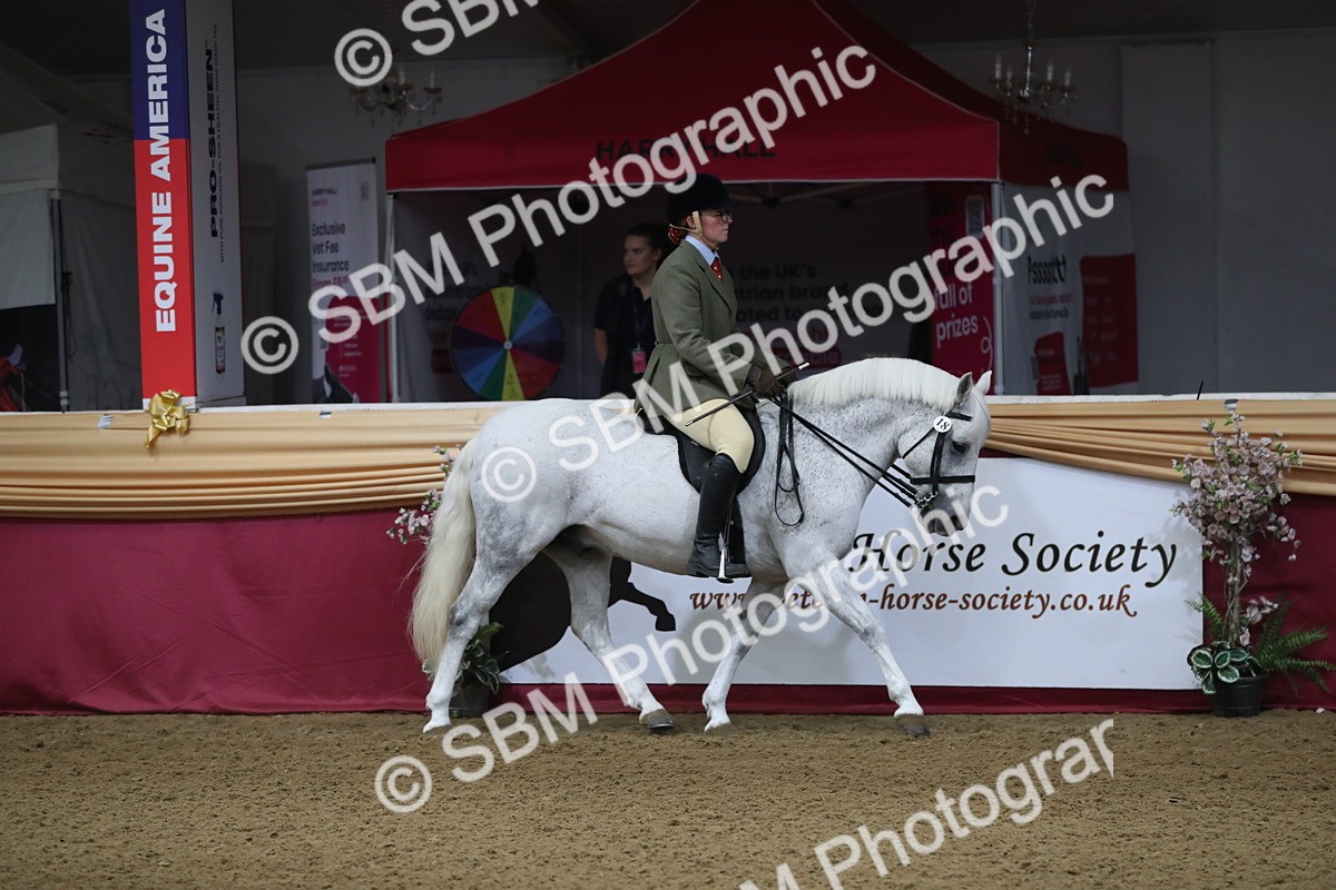 SBM_10324 - Class 102 Equitation (best rider) Adult