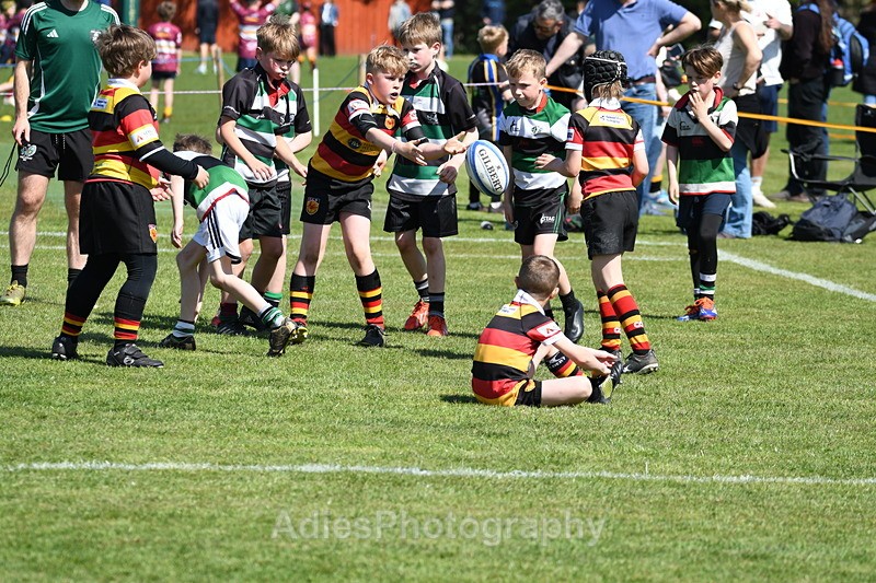  - Selby Rugby Festival 2025