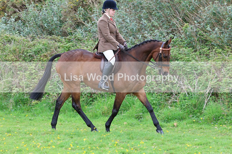 3E7A1933 - Class 10: Ridden Sports Horse