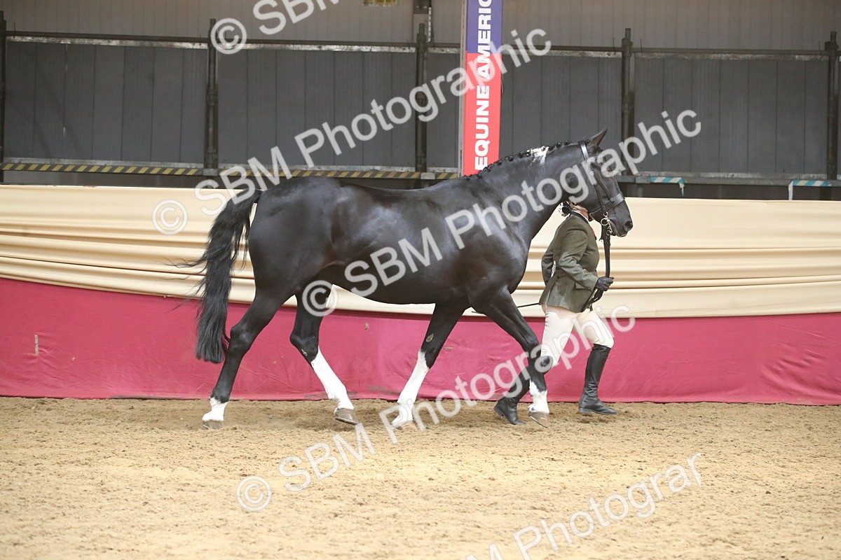 SBM_05521 - Class 9R - Regional IH Pre-Vet