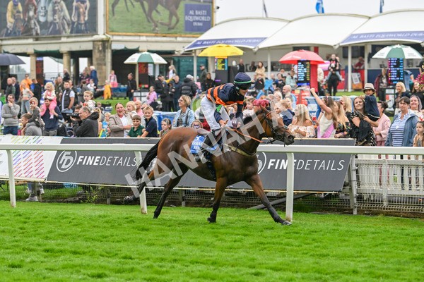 080924-Pony Race-8493 - Pony Race 1.00pm The Dragon (TV and Film) Studios Pony Race 148cm & Under
