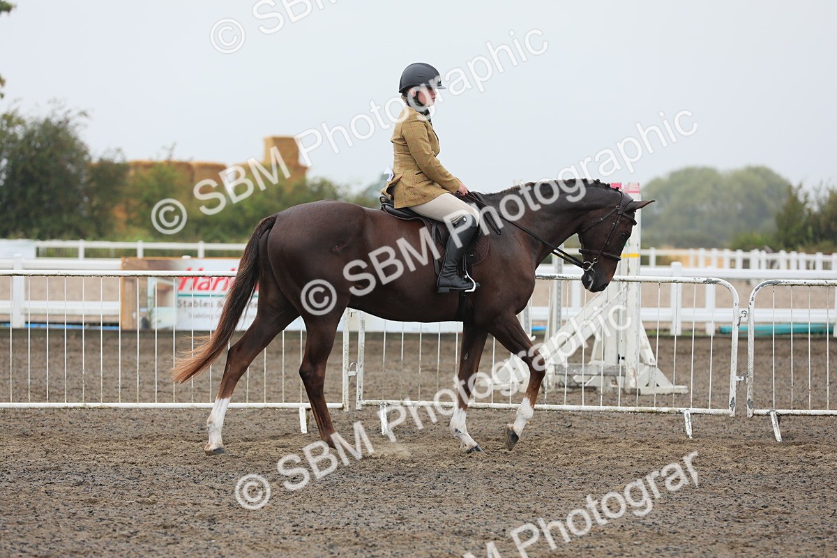 SBM_21215 - Class 805 - Ridden Veteran Horse