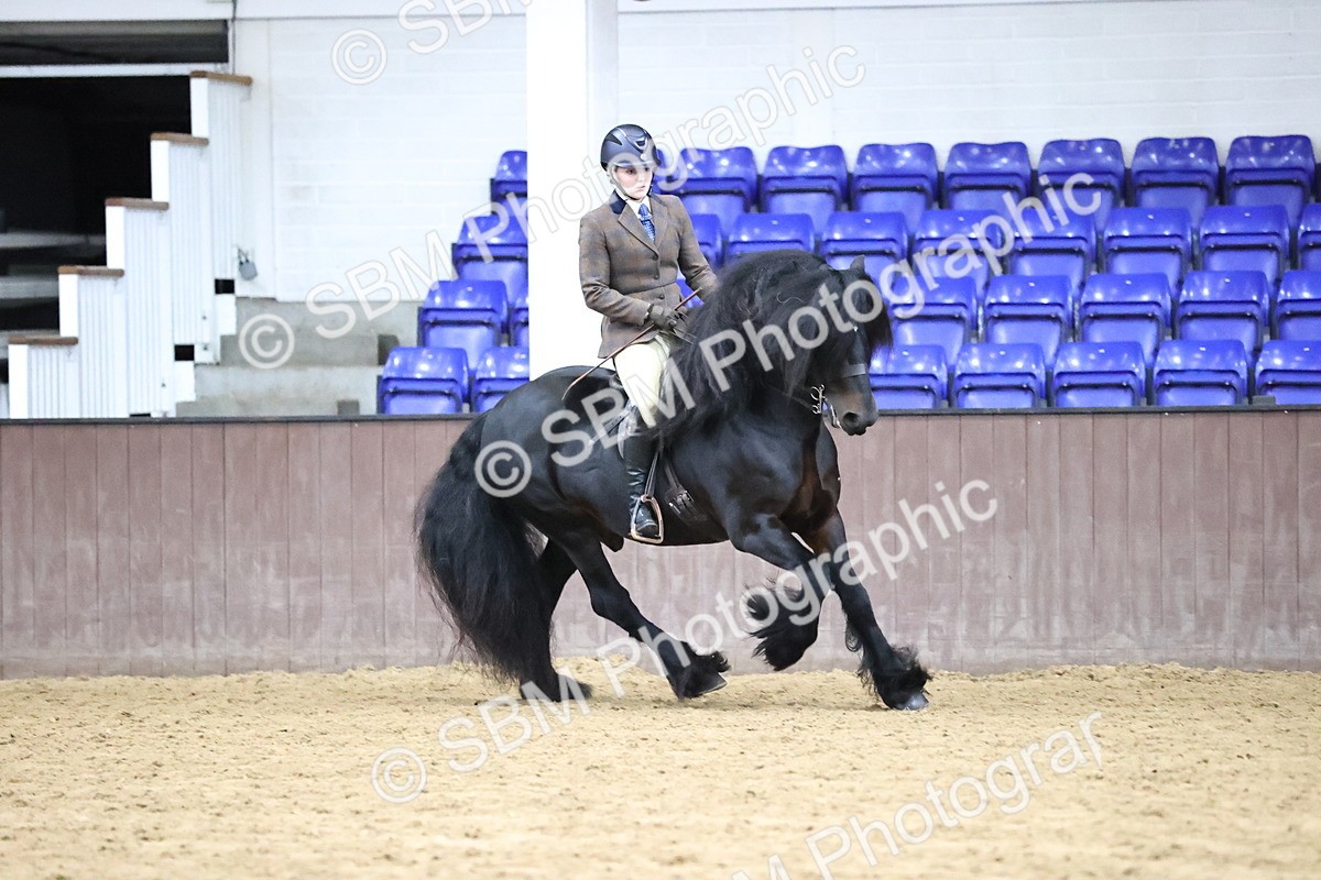 SBM_6550 - Class 43 - Ridden Native Breeds