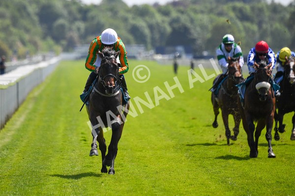 270523-Race 2-Native American-0302 - Race 2 2.10pm Collective Green Energy EBF Restricted Novice Stakes