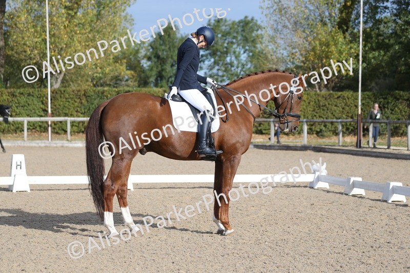 20261011-0270 - Class 4 - Novice 6
