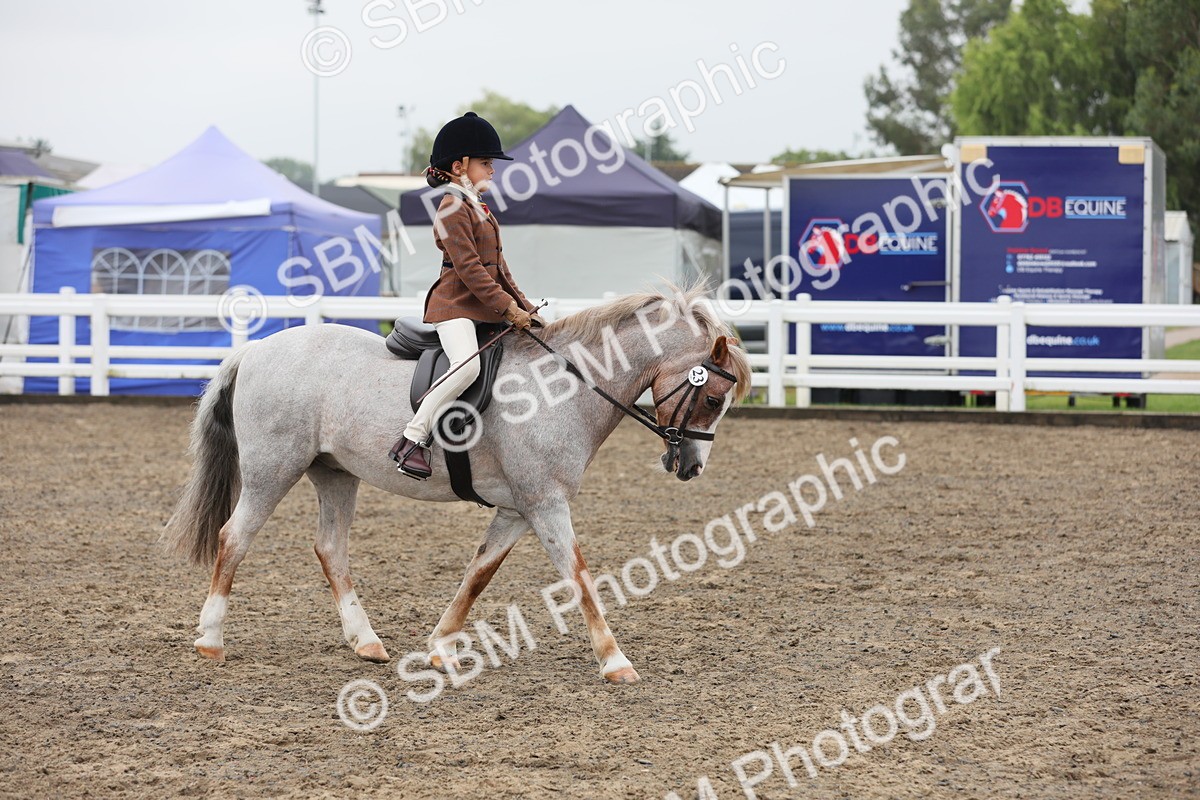 SBM_21805 - Class 806 - Young ridder 10 Yr & Under