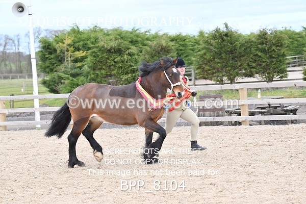 BPP_8104 - SUPREME CHAMPIONSHIP