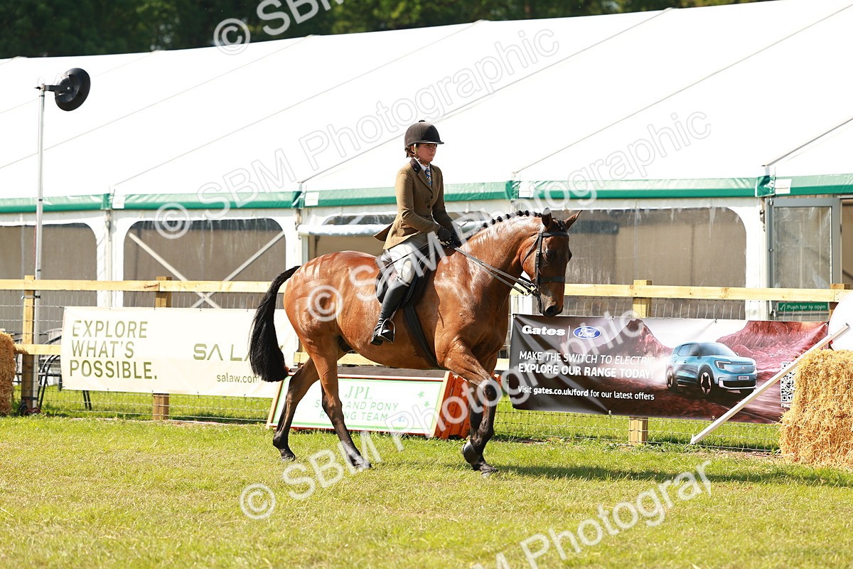 SBM_12034 - Class 66-69 - RIHS Ridden Hunters Inc Small Hunter
