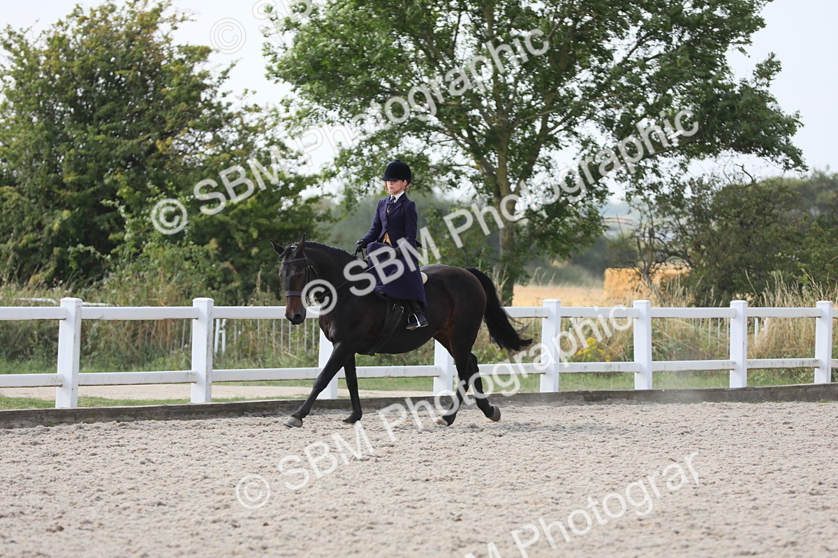 SBM_14570 - Class 211 Best Side Saddle Horse/Pony