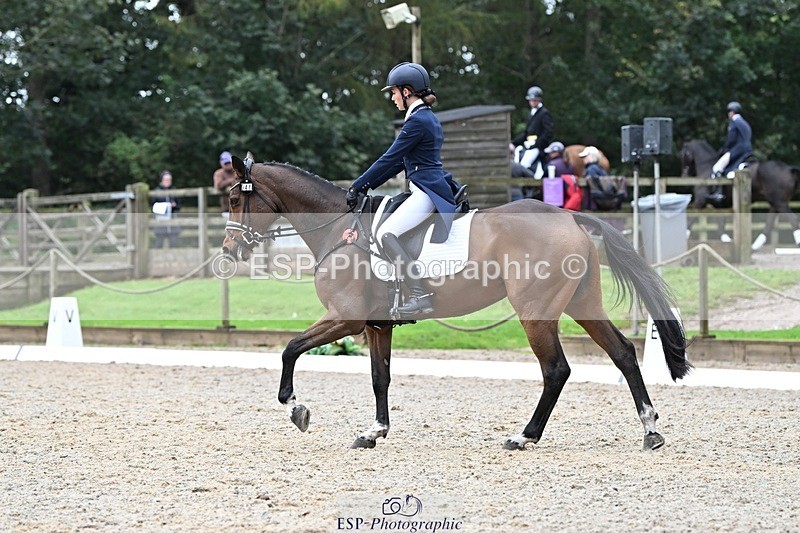 231019-122438-02758 - 044-COOLEY.ON.THE.CARDS-Charlotte.Cooke-DR