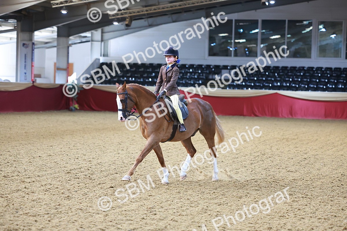 SBM_07702 - Class 101 - HOYS Veteran Qualifier - Ridden Diamond